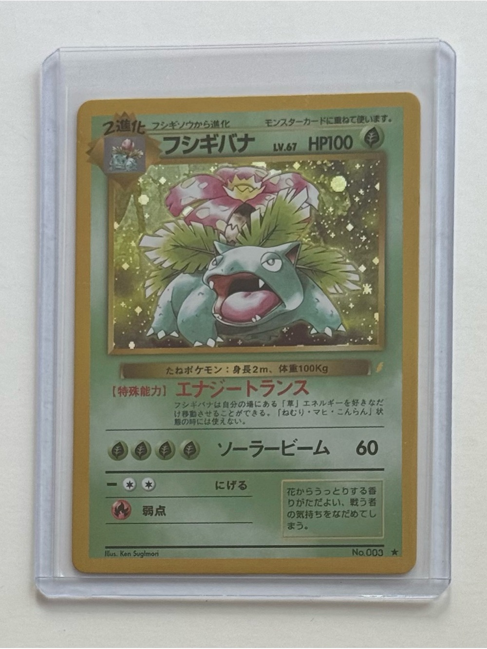 Pokemon Venusaur Holo Rare Japanese No.003 LP Fan Art Custom Card For Display